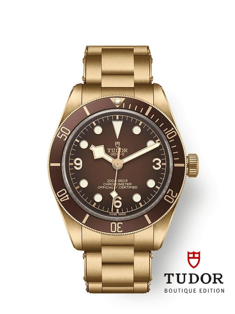 Tudor Black Bay 58 Bronze Tissot Seastar 2000 Professional