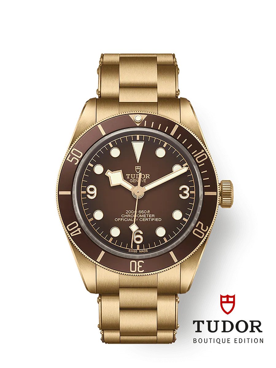 Tudor Black Bay 58 Bronze, Tissot Seastar 2000 Professional, Hamilton ...